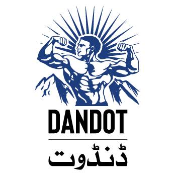 Dandot company simple logo on a plain background